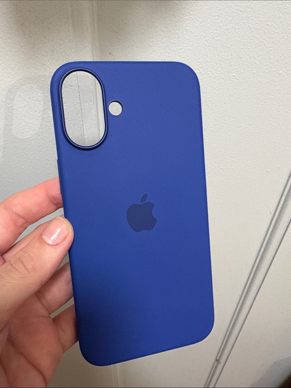 Apple 16 plus silicon MagSafe Case